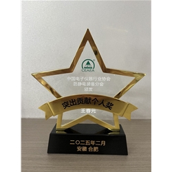 突出貢獻個人獎